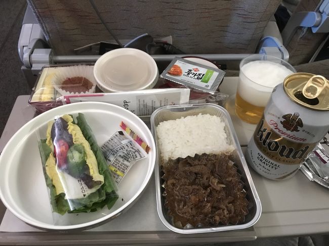 離陸後1時間で機内食です。<br /><br />アシアナ航空の機内食はクオリティーが高いと聞いていましたが、包み野菜までキチンと提供してくれるんですね！<br />ビールも、これまで「韓国のビール=薄くて炭酸が強い」というイメージ（主にCASSビール）でしたが、このビールはしっかりと味がしていた（気がします）。<br /><br />ユナイテッドやエアチャイナの機内食とは雲泥の差ですね！（笑）<br /><br /><br />機内食を楽しんだあとは、映画を見たり仮眠を取ったり、長距離国際線独特の「時間を潰す作業」に。