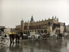 中央市場広場に着いたものの、あまりの雨で何もできない。広場に並ぶ馬車の御者さんも雨の中待機で大変そう…