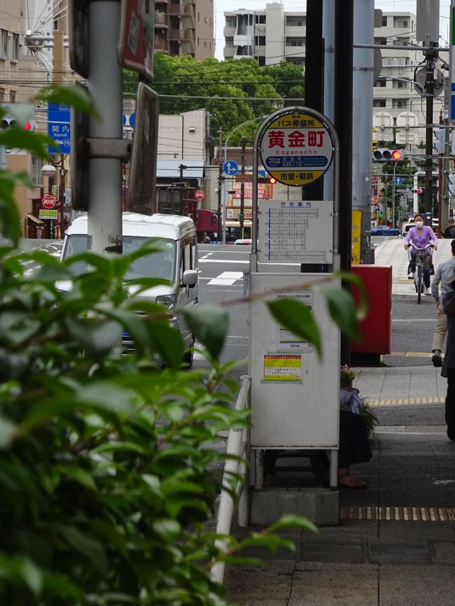 横浜昔ながらの街歩き、日の出町・黄金町界隈から横浜橋市場、伊勢佐木町・野毛編