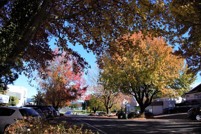 アパートメントからそう遠くない場所には公園がありました。<br />午前中の数時間しか余裕がないので、公園付近をゆっくり歩くことにしました。