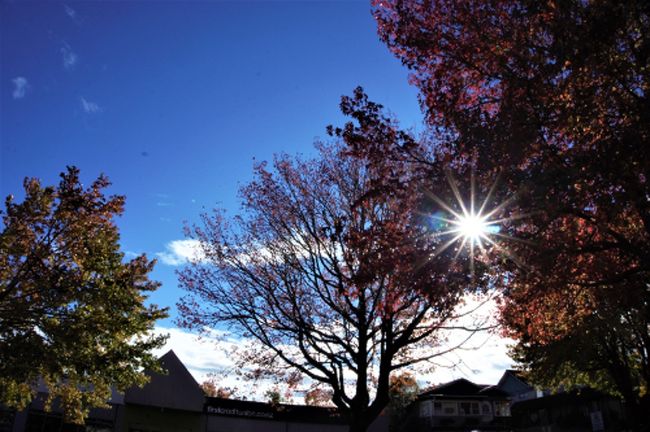 今日は天気が良くてよかった。<br />太陽が眩しく輝いています。