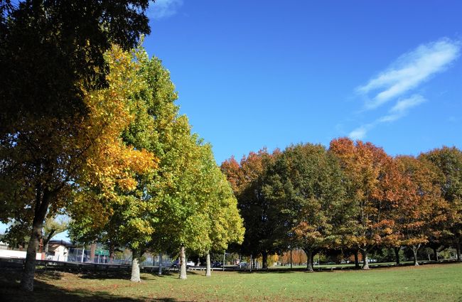 ゆっくりと歩いていると、そこに住み休日に散歩をしているような感じです。