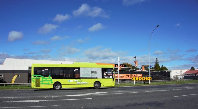 あまり交通量の多くない広い道をバスが通りました。