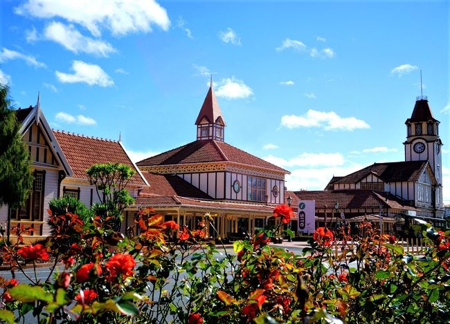 再びロトルア i-site<br />ここには何度来たのでしょうか。<br />今回はこれが最後です。<br />バスが来るまで建物の中で待っていたら、懐かしい顔が…。<br />ワイオタプ・サーマルランドツアーに参加した時のカイザー・リンク社スタッフの方でした。<br />大雨のため延期になり、その日二人だけしか待っていなかったのですが、 i-site で説明を受け日程を変更し、ツアーの日は現地からの帰りのバスの午後便を選択したのは私たち二人だけだったので、さんざん質問をしていました。<br />そのため、会ったとたん抱き合いました。<br />「ロトルアまた来ますか？」「もちろん。ありがとう、楽しかったよ。」<br />懐かしく思い出されます。<br />また行きたいな～。