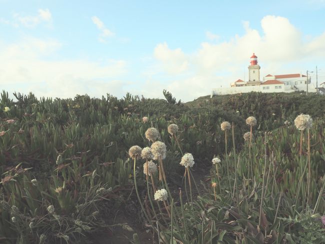 風が気持ち良く、天国があったらこんな感じかなと思ってしまうような場所でした。