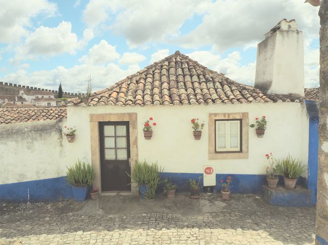 坂を登りくだりしながら歩きます。