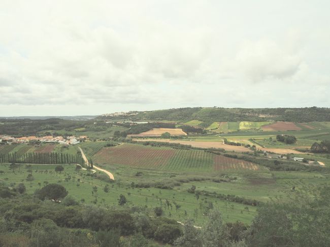 写真じゃ伝わりませんが、とてものどかな田舎風景が広がっていました！<br />癒される～