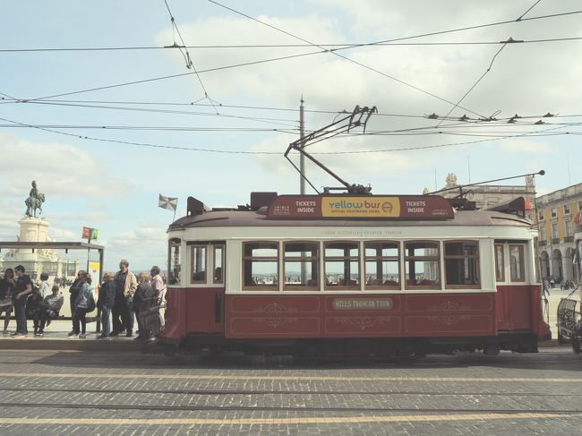 いろんな種類のトラムが走っています。