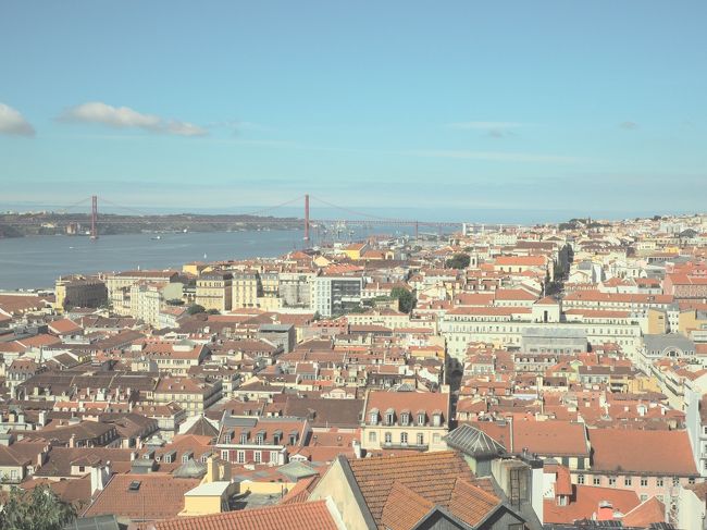 きれいなオレンジの屋根たち。