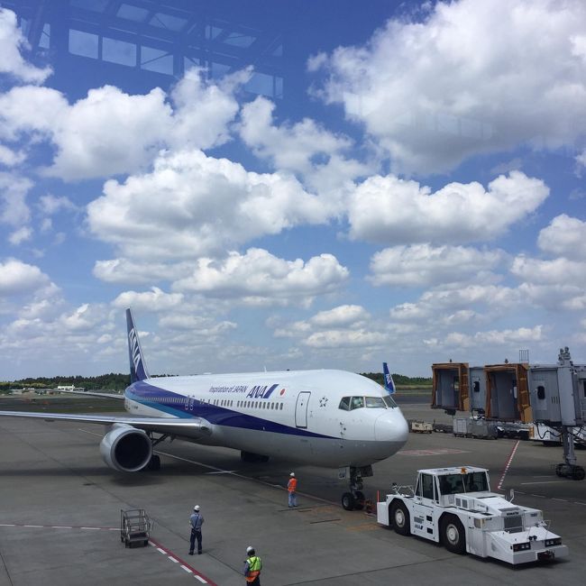 今回は成田空港から向かいます！