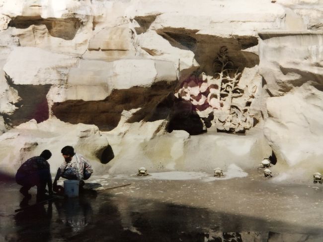 月曜日は水を抜いてお掃除の日<br />有名なコイン投げは出来ませんでした。