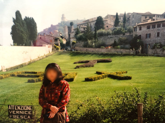 PAXとはラテン語で『平和』