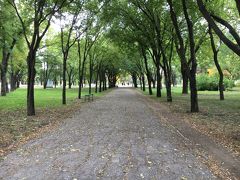 まずはターミナル近くの公園を横断。