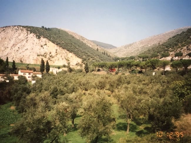 赤いバスが走っているのがアッピア街道