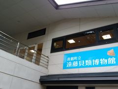 真鶴町立遠藤貝類博物館