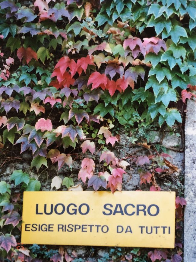 紅葉が綺麗。。