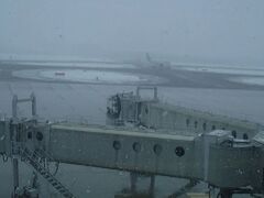 新千歳空港へ。

わあ、雪降ってんじゃん。