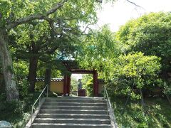 鎌倉　光則寺　12:42頃

長谷寺の次は、直ぐ隣に位置する光則寺へ向かいました。
光則寺では毎年ヤマアジサイを楽しませてもらっています。
今年はどうなんでしょうか？