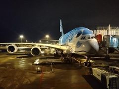 就航したばかりのＡＮＡフライングホヌでホノルルへ旅立ちます。この日は１号機に当たる「ラニくん」。スーパーフライヤーズ特典で、エコノミーから無料アップグレードし、プレミアムエコノミーで向かいます。