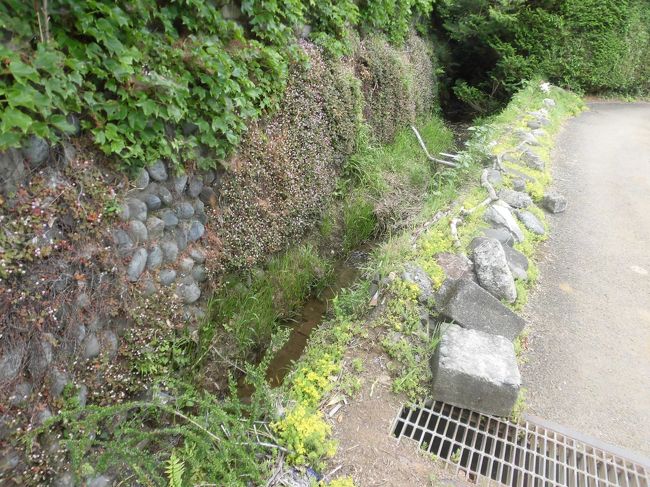 から まで ここ 淵野辺 駅