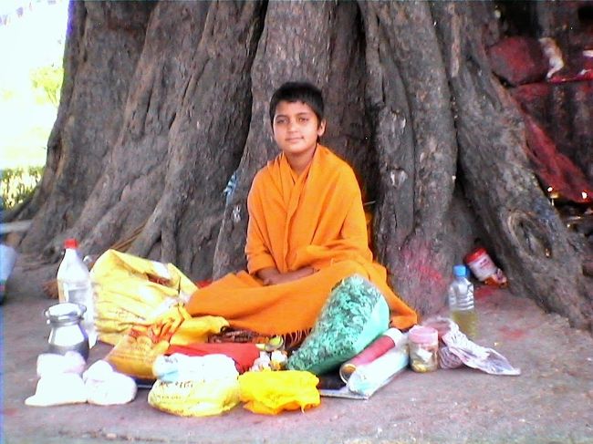 インド7大仏教聖地を巡る旅』その他の観光地(インド)の旅行記