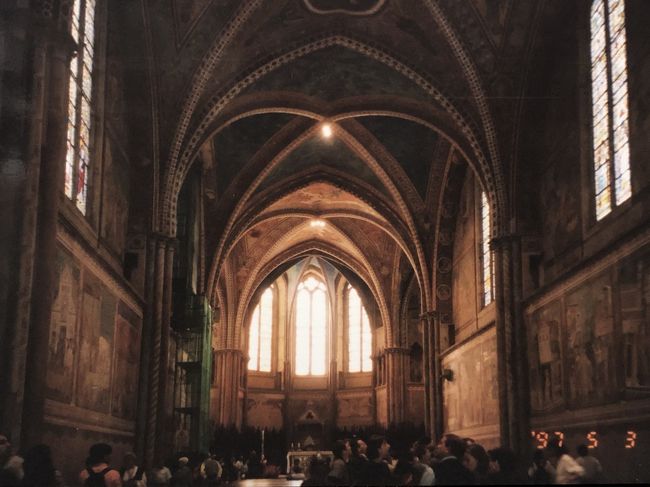 サン・フランチェスコ教会内<br />ジョットのフラスコ画が<br />サン・フランチェスコの一生を<br />教えてくれます。