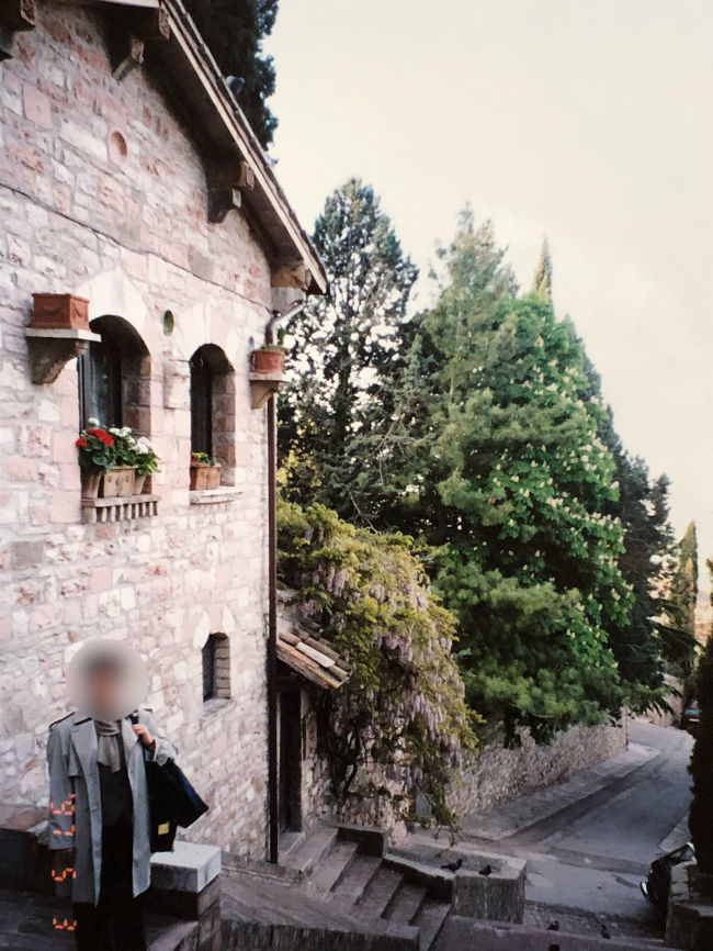 ホテル周りをお散歩しました。<br />こちらも藤がたわわです。。