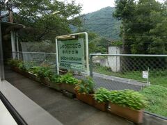 「しゅうちかさかみ」駅と読むわけですね。
地名としては守内というところにあり、かさ神神社というところが近くにあるので、こういう駅名になったようです。
それほど難読の駅名ではないのですが、最初、地名も由来も知らなかったので、駅名がちゃんと頭に入ってきませんでした。　