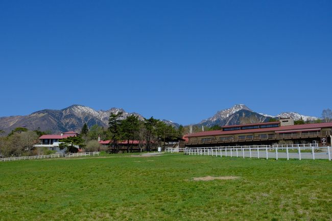 鹿の角　山梨県八ヶ岳清里 広々した清里の森で大人の“やすみじかん”＆親子で楽しむシカの角