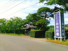 公園北側のあやめ園です。行ったときは入場無料でした。