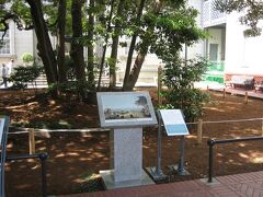 横浜開港資料館　たまくすの木

ペリー提督横浜上陸の図にもこの木が描かれている。