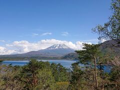 そして、突然の富士山＠本栖湖。
１４時過ぎ。

御殿場にあるキリンディスティラリー富士御殿場蒸溜所の工場見学を予約しているので、本栖湖経由のルートをとったわけだが、
精進湖を過ぎた辺りから渋滞が始まり、本栖湖に向かう１３９号線に入ったらほぼ動かず・・・・。
「芝さくら渋滞」だった。
地方の狭い国道、Uターンもままならず、いつのまにか本栖湖を一周して・・・・。
