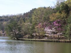 あっという間に宝ヶ池に到着
江戸時代に農業用のため池と作られた池ですが、現在は府民の憩いの場