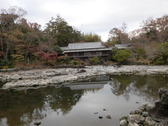 せっかくなので三嶋大社へお参りに