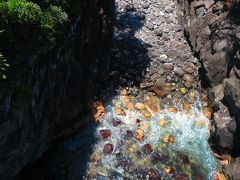 城ヶ崎海岸つり橋「門脇吊り橋」
真下を見ると足がすくみます。