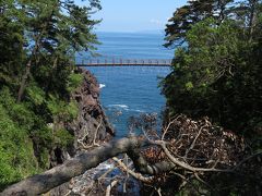 城ヶ崎海岸

「門脇つり橋」に戻って来ました。
この写真は駐車場から撮ったもの。