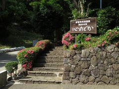 伊豆今井浜温泉旅館　心のどか