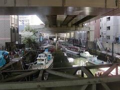 金杉橋も首都高の下・・ここまでが江戸の市中
川というか運河というか水溜り・・・
屋形船がところせましと係留されてました
　 外にでれば多少きれいなのでしょうか、夜では水面も消えるか？