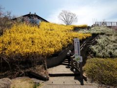 さて、次にやって来たのは「釈迦堂遺跡博物館」。
釈迦堂 下りパーキングからは、歩いて入場可能です。