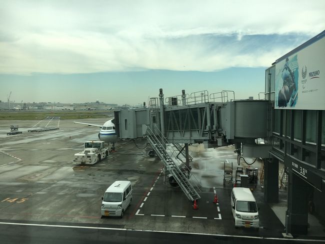 アスタナまでのフライトは初のエア・チャイナです。なお、これまた直前に６月７日にアスタナのメガでデニスとショー出演者によるサイン会が行われるという告知があり、その時間にはまだ空の上なので泣く泣く断念…もっと早く告知してくれれば別の便取ったのにー！