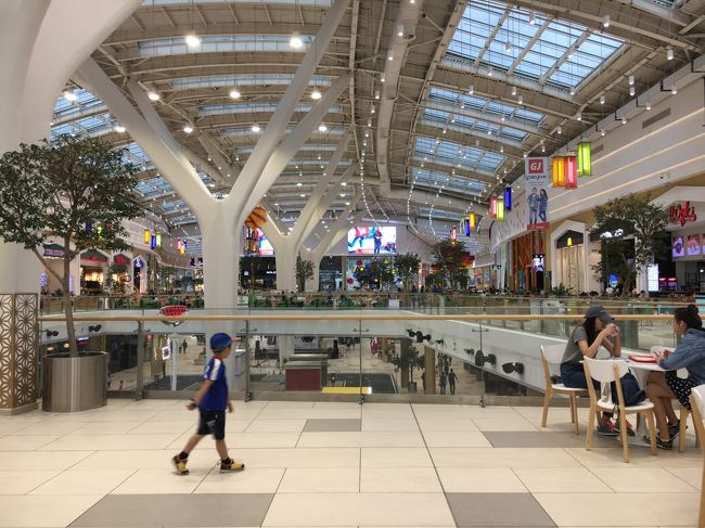 万博中、日本人を見ると誰彼構わず話しかけまくり次々友達になっていった、上海機構のパビリオンにいた日本大好きJKのさやちゃん(https://4travel.jp/travelogue/11623485)が会いたいと連絡してきたので、再びMEGAに戻りフードコートでアイス食べました。<br /><br />中国育ちのカザフ人で、中国語、カザフ語、英語が堪能なさやちゃん。高校卒業後は日本に留学すると言ってましたが、ビザと経済的な問題で叶わず、ポーランドの大学への進学が決まったと言っていました。