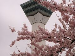 桜に包まれる五稜郭タワー 。