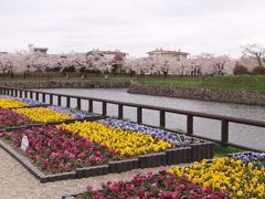 春はサクラが咲き乱れ、函館随一の花見の名所として賑わいます。