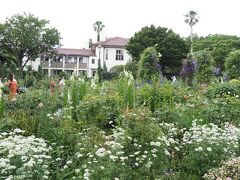 港の見える丘公園　イングリッシュローズの庭

約150品種、1,000株のイングリッシュローズが植えられた庭。
6月1日から解放されましたが、やはりバラの見頃は過ぎているようです。


