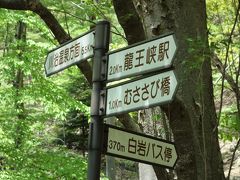 白岩の停留所からバスに乗ってしまうのはちょっと物足りないし、発着時刻との兼ね合いも有るので、当初の予定通りにダムまで歩き、川治温泉駅から帰ります