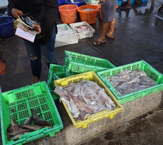 イカは冷蔵庫に入っているし、今日は買うものなし。