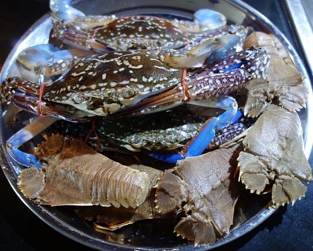 5日　8：31　<br />バンサレーの市場で買った渡り蟹と　ガン（団扇エビ）