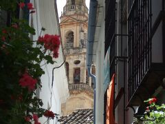 花の小径 (Calleja de las Flores)

旧ユダヤ人街にある狭い路地でアルミナールの塔が見えます。