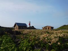 海沿いの沓形岬公園を歩きます。