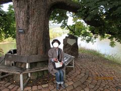 ⑩Tanzwederタンツの中州にあるWesersteinヴェーザーシュタイン：

中州公園の先端にはヴェラ、フルダ、ヴェーザー・三つの川の合流点であるWesersteinヴェーザーシュタイン（ヴェーザー記念碑）がある。この日の最も訪れてたかったのはここだった。

先端の大きなRosskastanienロスカスターニアン（マロニエ、トチノ木）の木は更に立派に育ち、大きな実も落ちていた。その木の下にWesersteinヴェーザーシュタイン（ヴェーザーの碑）と呼ばれる記念碑が立っている。

写真はハン・ミュンデン：大きなRosskastanienロスカスターニアン（マロニエ、トチノ木）の木の下にWesersteinヴェーザーシュタイン（ヴェーザー記念碑）がある。

ご参照：口コミ
≪ハン・ミュンデン：ヴェーザーの石碑には素敵な詩が刻まれている。≫
https://4travel.jp/os_shisetsu_tips/13612065
